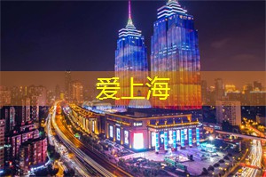 爱上海：上海业余运动与专业赛事的比较
